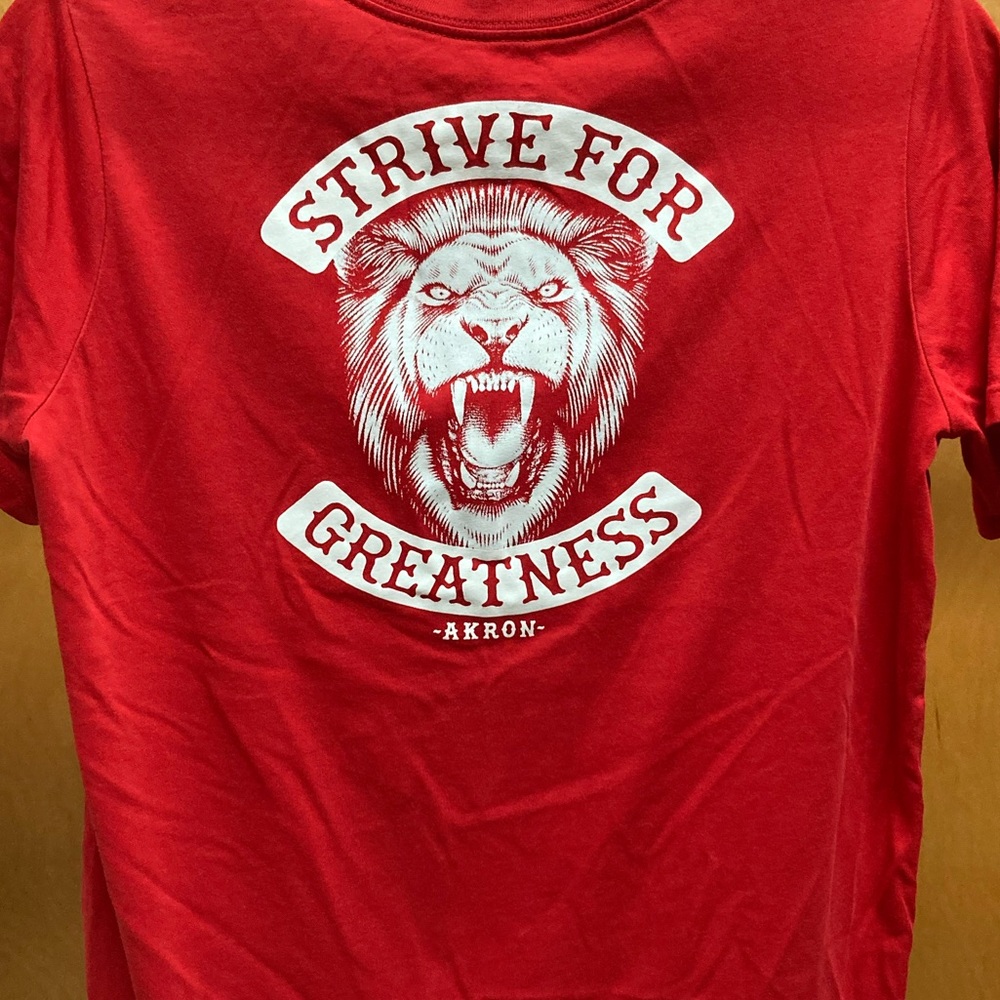 Nike Dri-fit Lebron James tee in Youth XL